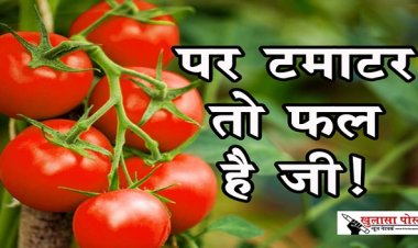 Article : पर टमाटर तो फल है जी!