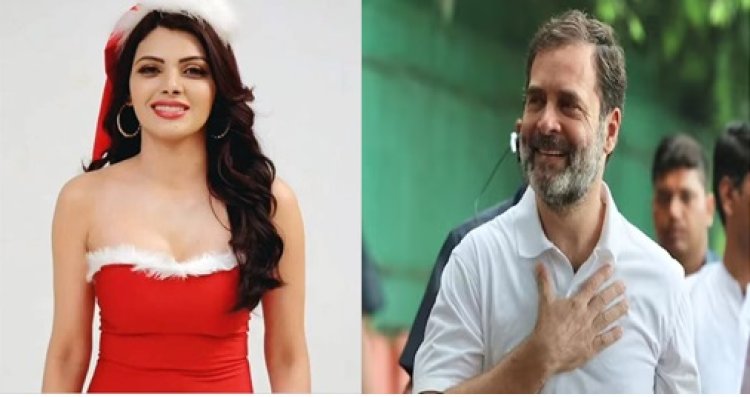 Sherlyn Chopra On Rahul Gandhi: राहुल गांधी से शादी करना चाहती हैं शर्लिन चोपड़ा, हमसफर बनाने से पहले रखी ये शर्त 
