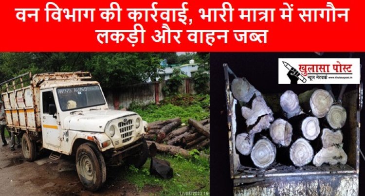 CG NEWS: वन विभाग की कार्रवाई, भारी मात्रा में सागौन लकड़ी और वाहन जब्त 