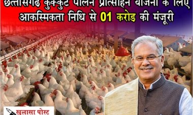 CG NEWS : छत्तीसगढ़ कुक्कुट पालन प्रोत्साहन योजना के लिए आकस्मिकता निधि से 01 करोड़ की मंजूरी