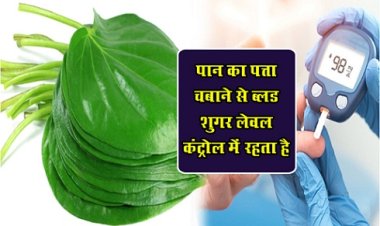 Health News : पान का पत्ता चबाने से ब्लड शुगर लेवल कंट्रोल में रहता है