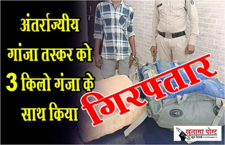 CG News : अंतर्राज्यीय गांजा तस्कर को  3 किलो गंजा के साथ किया गिरफ्तार
