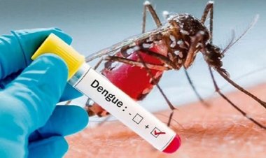 Health News : डेंगू का बढ़ा कहर, मामले छह गुना बढ़े...