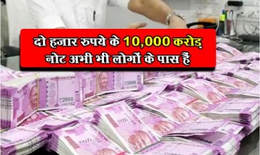दो हज़ार रुपये के 10,000 करोड़ नोट अभी भी लोगों के पास हैं..