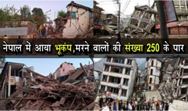 Earthquake News : नेपाल में आया भूकंप, मरने वालों की संख्या 250 के पार