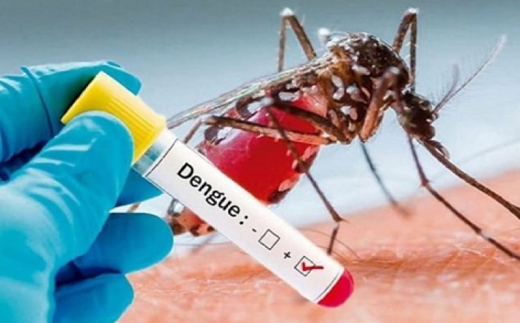 Health News : डेंगू का बढ़ा कहर, मामले छह गुना बढ़े...