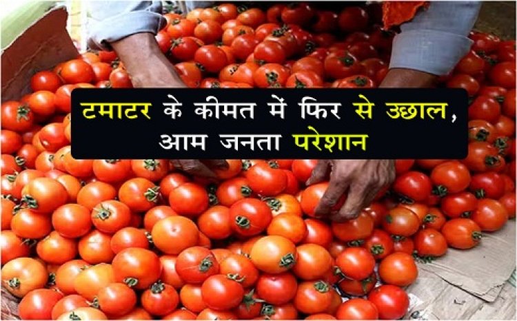 Tomato Prices : टमाटर के कीमत में फिर से उछाल, आम जनता परेशान…