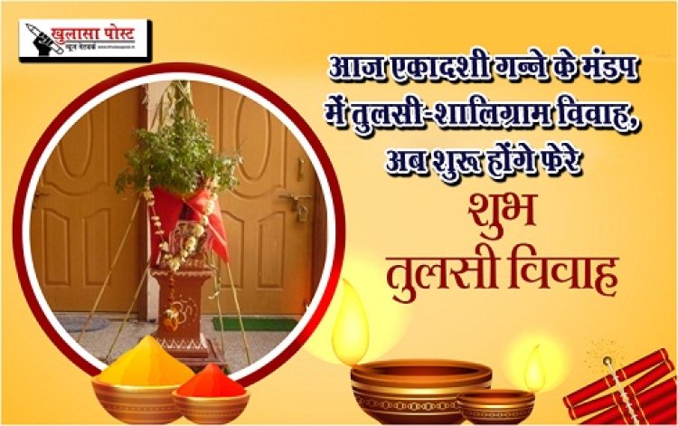 Festival News : आज एकादशी गन्ने के मंडप में तुलसी-शालिग्राम विवाह, अब शुरू होंगे फेरे