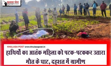 CG Breaking : हाथियों का आतंक महिला को पटक-पटककर उतारा मौत के घाट, दहशत में ग्रामीण