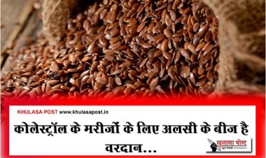Health News : कोलेस्ट्रॉल के मरीजों के लिए अलसी के बीज है वरदान...