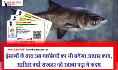 इंसानों के बाद अब मछलियों का भी बनेगा आधार कार्ड , आखिर क्यों सरकार को उठाना पड़ा ये कदम