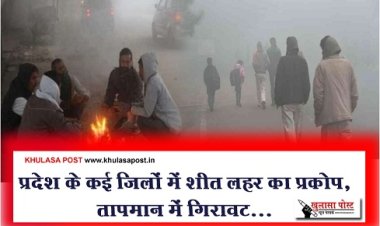 Weather News : प्रदेश के कई जिलों में शीत लहर का प्रकोप, तापमान में गिरावट...