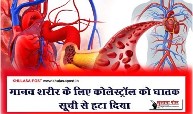 Health News : मानव शरीर के लिए कोलेस्ट्रॉल को घातक सूची से हटा दिया...