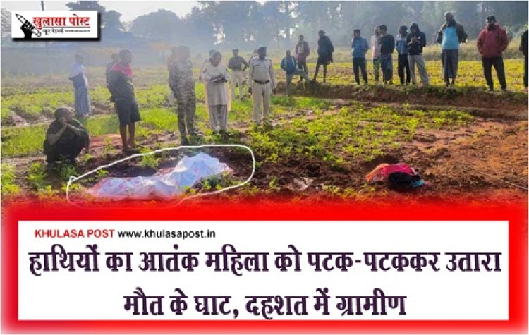 CG Breaking : हाथियों का आतंक महिला को पटक-पटककर उतारा मौत के घाट, दहशत में ग्रामीण