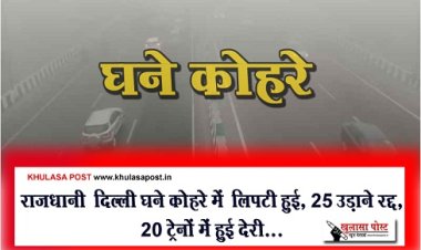 राजधानी ‎दिल्ली घने कोहरे में ‎लिपटी हुई, 25 उड़ाने रद्द, 20 ट्रेनों में हुई देरी...