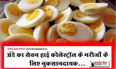 Health News : अंडे का सेवन हाई कोलेस्ट्रॉल के मरीजों के लिए नुकसानदायक... 