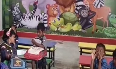 शिक्षिका फिरोजा ने बदली सरकारी स्कूल की तस्वीर, कॉन्वेंट स्कूल को दे रहा मात