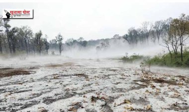 होली के दिन मैनपाट गिरी बर्फ, प्रकृति की दिव्यता का हुआ दर्शन