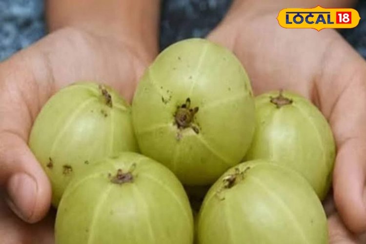 आंवला खाने के हैं चमत्कारी फायदे, डायबिटीज से लेकर पाचन तंत्र के लिए रामबाण