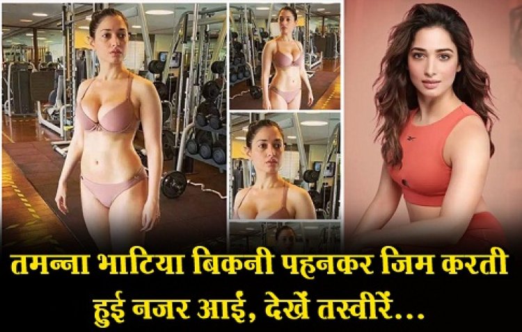 Bollywood News : तमन्ना भाटिया बिकनी पहनकर जिम करती हुई नजर आईं, देखें तस्वीरें...