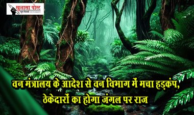  वन मंत्रालय के आदेश से वन विभाग में मचा हड़कंप, ठेकेदारों का होगा जंगल पर राज
