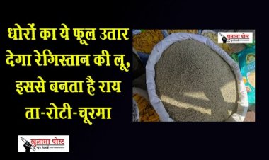 धोरों का ये फूल उतार देगा रेगिस्तान की लू, इससे बनता है रायता-रोटी-चूरमा