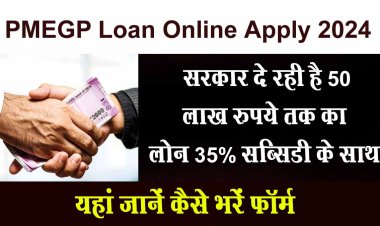 सरकार दे रही है 50 लाख रुपये तक का लोन 35% सब्सिडी के साथ, यहां जानें कैसे भरें फॉर्म