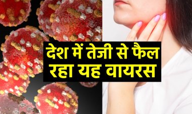 सिरदर्द-बुखार के साथ उड़ गई है भूख? इस वायरस का हो सकता है अटैक