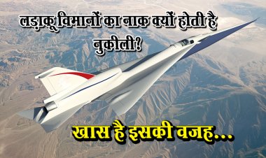 लड़ाकू विमानों का नाक क्‍यों होती है नुकीली? खास है इसकी वजह...