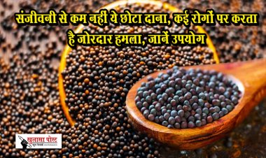 संजीवनी से कम नहीं ये छोटा दाना, कई रोगों पर करता है जोरदार हमला, जानें उपयोग