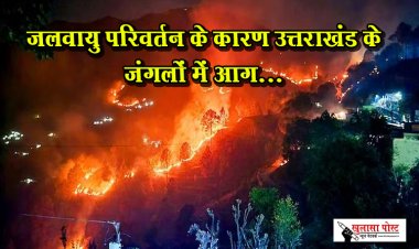 जलवायु परिवर्तन के कारण उत्तराखंड के जंगलों में आग...