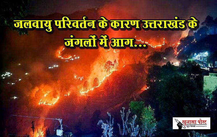 जलवायु परिवर्तन के कारण उत्तराखंड के जंगलों में आग...