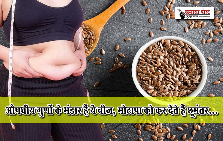 औषधीय गुणों के भंडार हैं ये बीज, मोटापा को कर देते हैं छूमंतर...