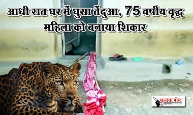 आधी रात घर में घुसा तेंदुआ, 75 वर्षीय वृद्ध महिला को बनाया शिकार