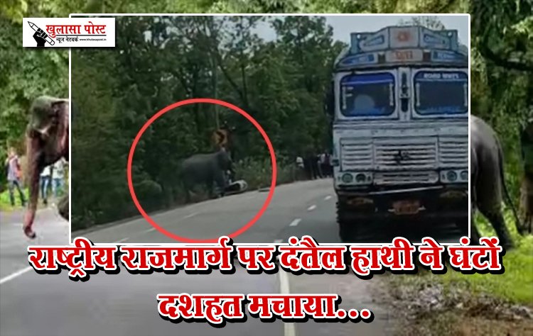 राष्ट्रीय राजमार्ग पर दंतैल हाथी ने घंटों दशहत मचाया...