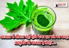 बरसात में बीमार नहीं होने देगा इस पत्ते का काढ़ा, आयुर्वेद भी मानता है लोहा...