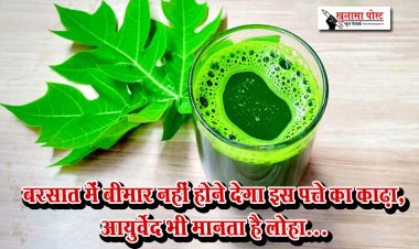 बरसात में बीमार नहीं होने देगा इस पत्ते का काढ़ा, आयुर्वेद भी मानता है लोहा...