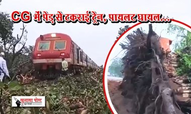 CG में पेड़ से टकराई ट्रेन, पायलट घायल...