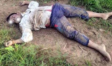 खेत देखने गए किसान को दंतैल हाथी ने कुचलकर मार डाला, गांव में शोक की लहर, दहशत का माहौल, इलाके में अलर्ट जारी