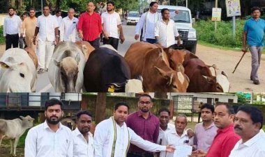 गरियाबंद ब्लॉक कांग्रेस कमेटी समेत छग में गौ सत्याग्रह को लेकर बोला हल्ला, इन मुद्दों पर सरकार को घेरा, बढ़ी मुश्किलें