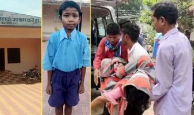 जमीन में सो रही युवती को जहरीले सांप के काटने से हॉस्पिटल लाने से पहले गई जान, छात्रवास में 7 साल के बच्चे की मौत से मचा हड़कंप