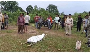 गजराज का कहर, भीमोरा फूटू निकालने गई दो महिलाओं पर दंतैल हाथी ने किया जानलेवा हमला, एक की मौत दूसरी की हालत नाजुक