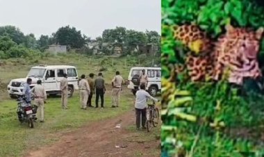जहां हाथी ने कुचलकर ली थी महिला की जान वहीं शिकार के लिए घात लगाए बैठा था तेंदुआ, पकड़ने जुटा वन विभाग, इलाके में फैली दहशत, हाई अलर्ट जारी