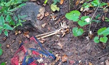 पहाड़ में मिला महिला का नर कंकाल, पास में मिली टूटी चूड़ियां और चांदी के पायल, इलाके में फैली सनसनी, जांच में जुटी पुलिस