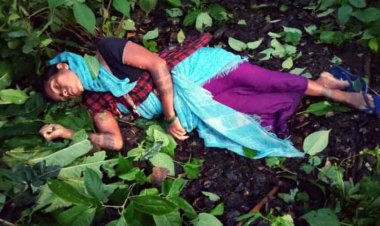 आकाशीय बिजली गिरने से बकरी चरा रही महिला समेत दो बकरियों की मौके पर मौत, मजदूरों पर आसमानी कहर, 7 मजदुर घायल