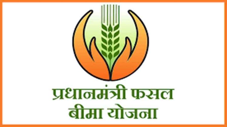 किसानों के लिए अच्छी खबर, फसल बीमा कराने का फिर से मिला मौका, किसान अब इस तारीख तक कर सकेंगे आवेदन