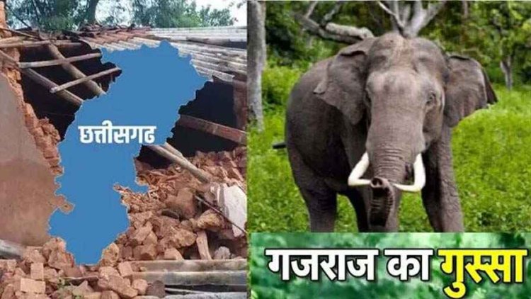 छत्तीसगढ़ में दंतैल हाथियों का कहर, तीन महिलाओं और बच्ची समेत 7 लोगों की मौत, मरने वालों में एक ही परिवार के 3 लोग, लोगों में दहशत
