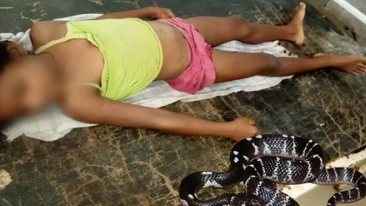 जमीन में सोई हुई मां-बेटी को साइलेंट किलर ने काटा, नाबालिग बेटी की मौत, मां की हालत नाजुक, अस्पताल में भर्ती, इलाज जारी