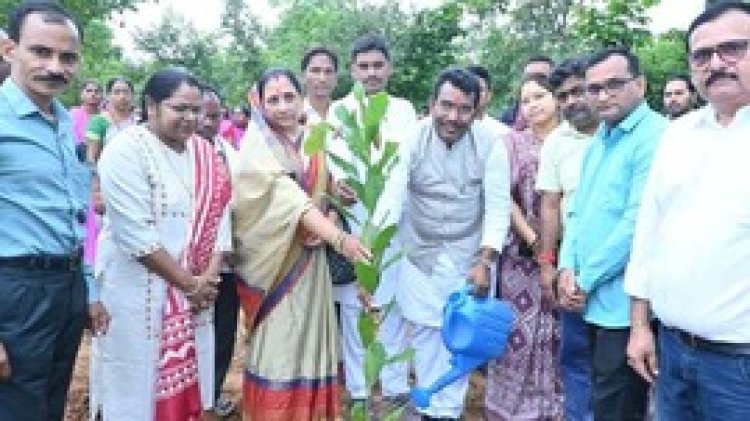 विधायक रोहित साहू ने एक पेड़ मां के नाम अभियान के तहत डोंगरी गांव में रोपे पौधे