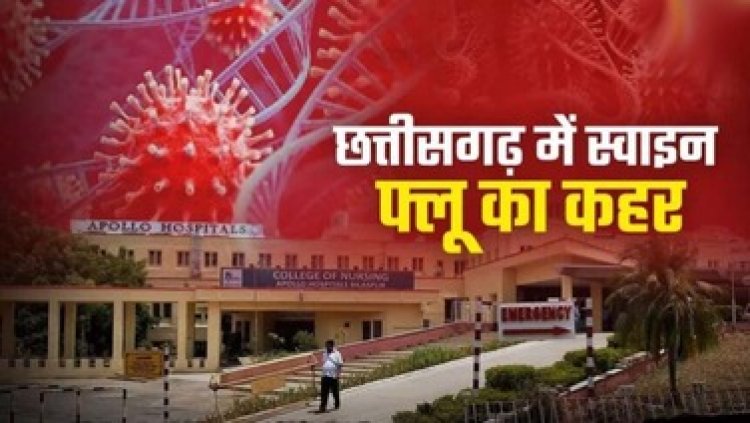 राजधानी में स्वाइन फ्लू ने बढ़ाई चिंता, 60 से ज्यादा मरीज मिले, 6 की मौत, जारी किया गया हेल्पलाईन नम्बर